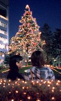 Christmas tree lit up at Tokyo hotel 2 month ahead